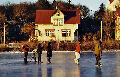 Reykjavik_Elves_in_the_City_Still_1