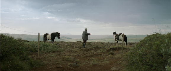 Of_Horses_and_Men_still3